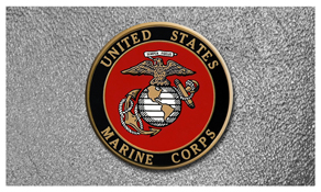 DNSEMP C 415 SH SL US Marine Shimmer Silver